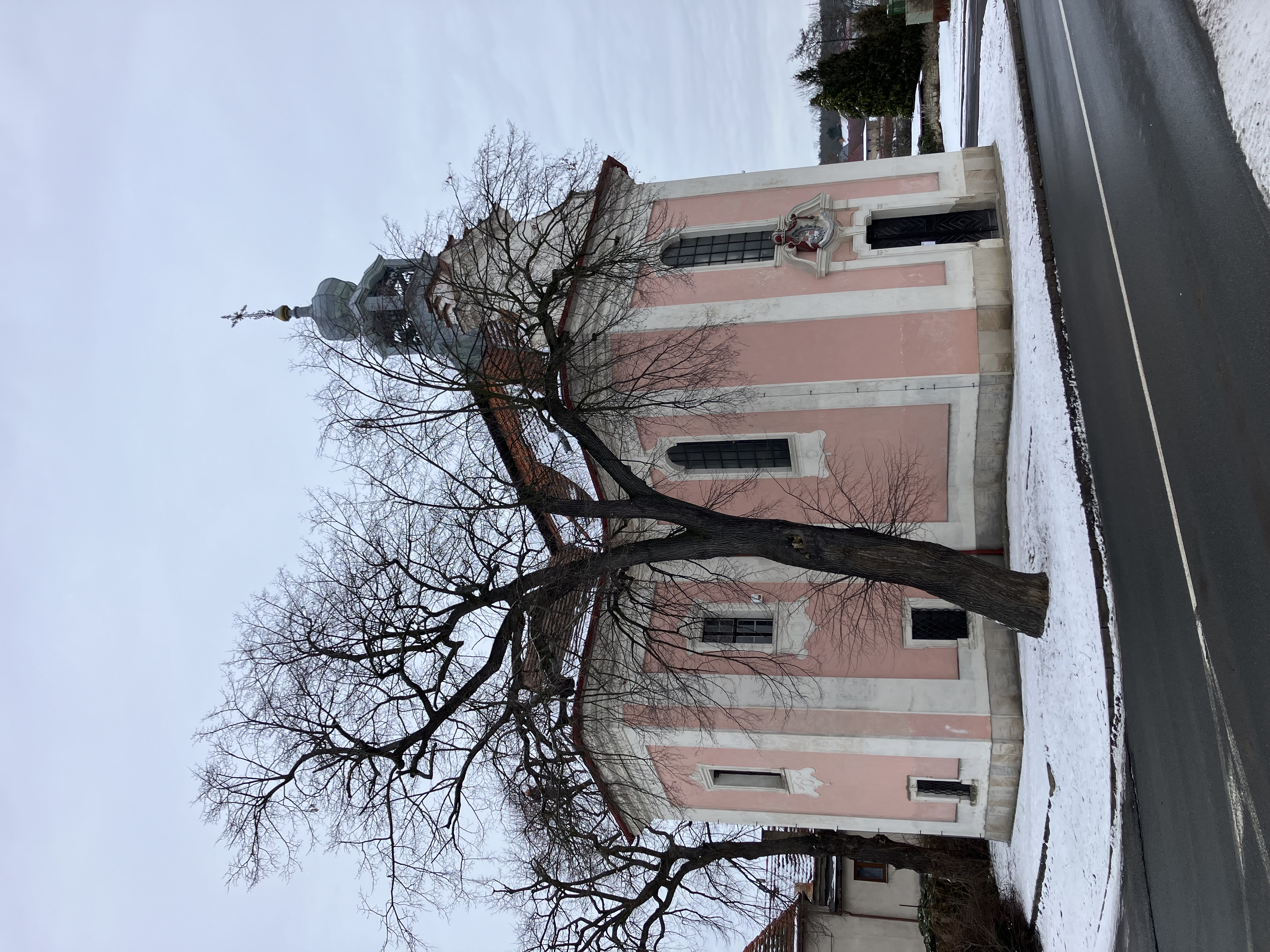 Ošetření památného dubu - Dolany u Kladna - foto 2