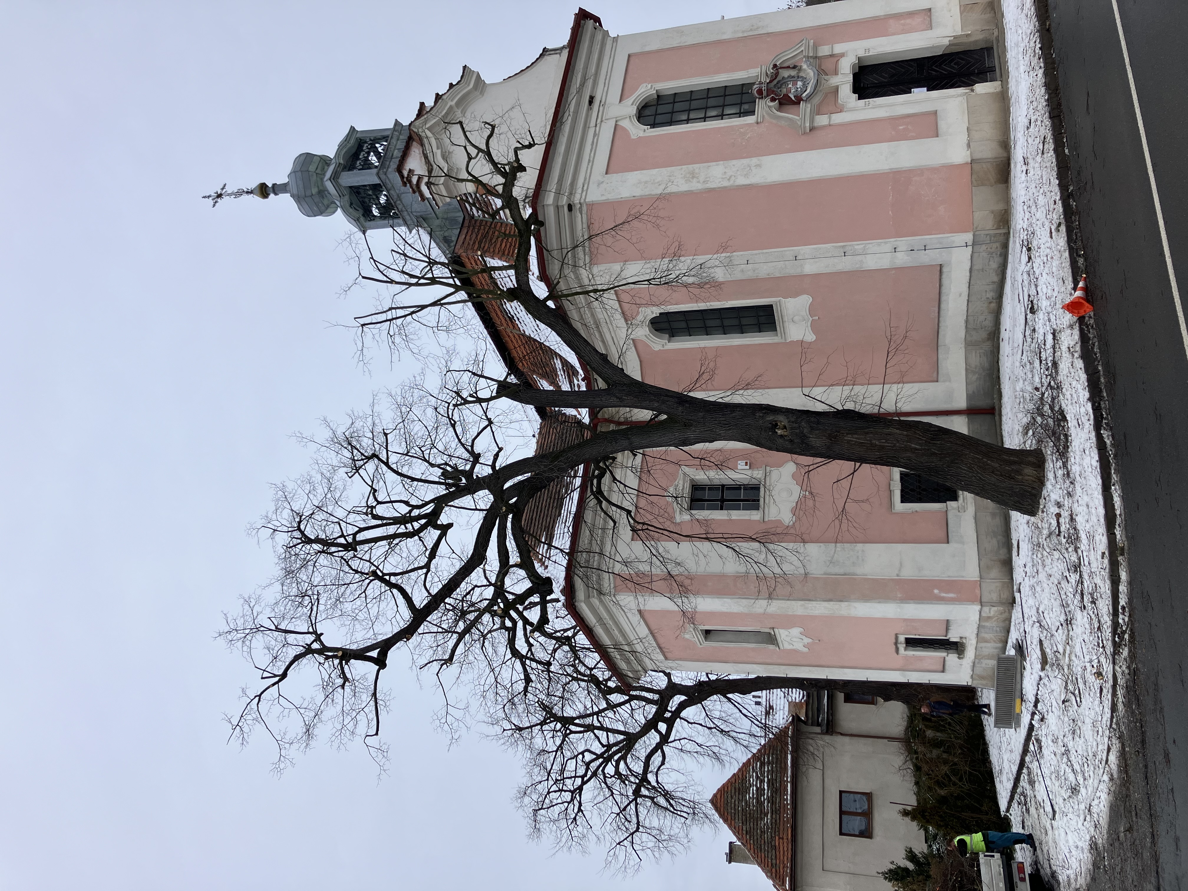 Ošetření památného dubu - Dolany u Kladna - foto 5