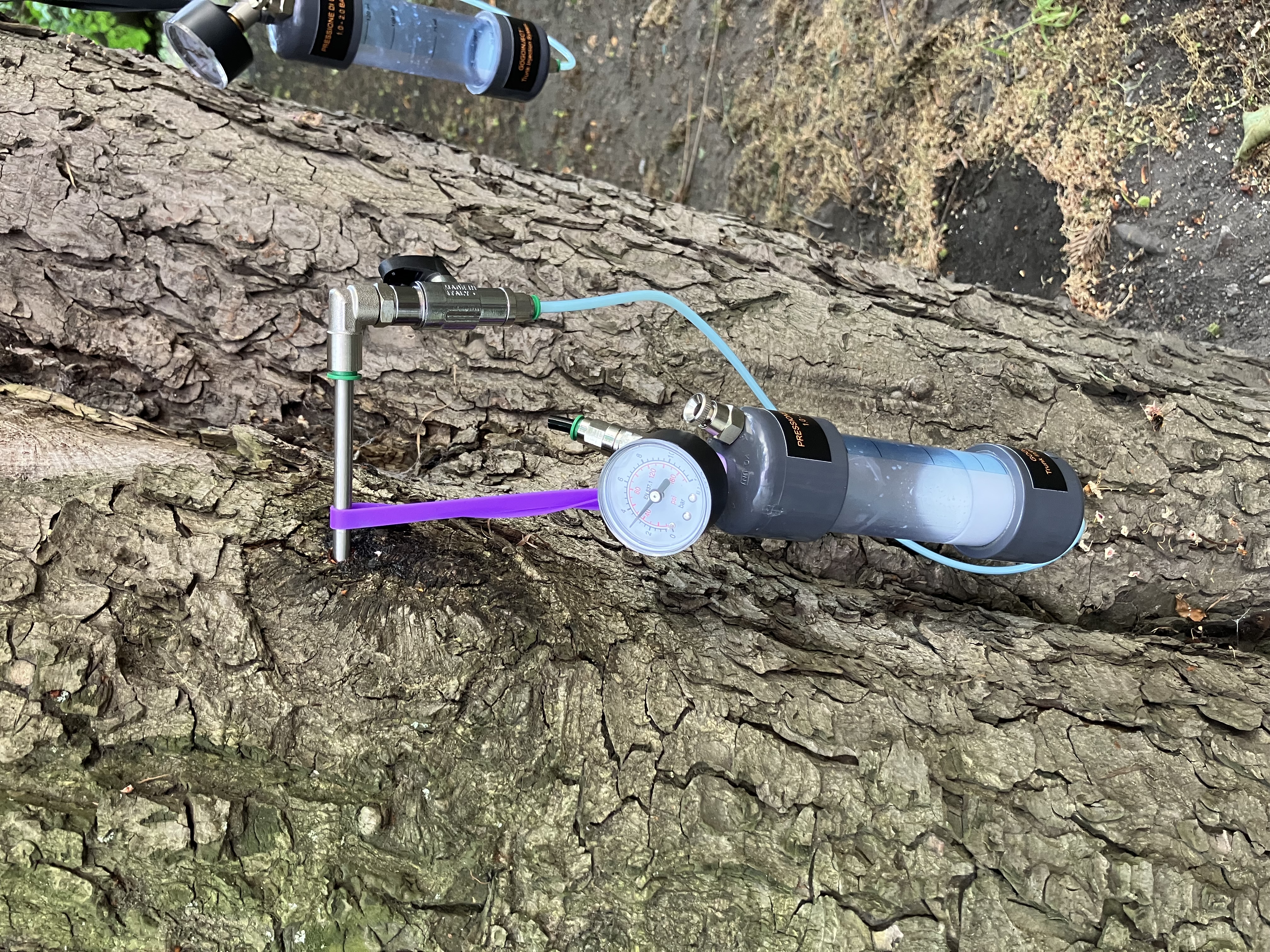 Mikro injektáž stromů - Praha, Vinohrady - foto 2