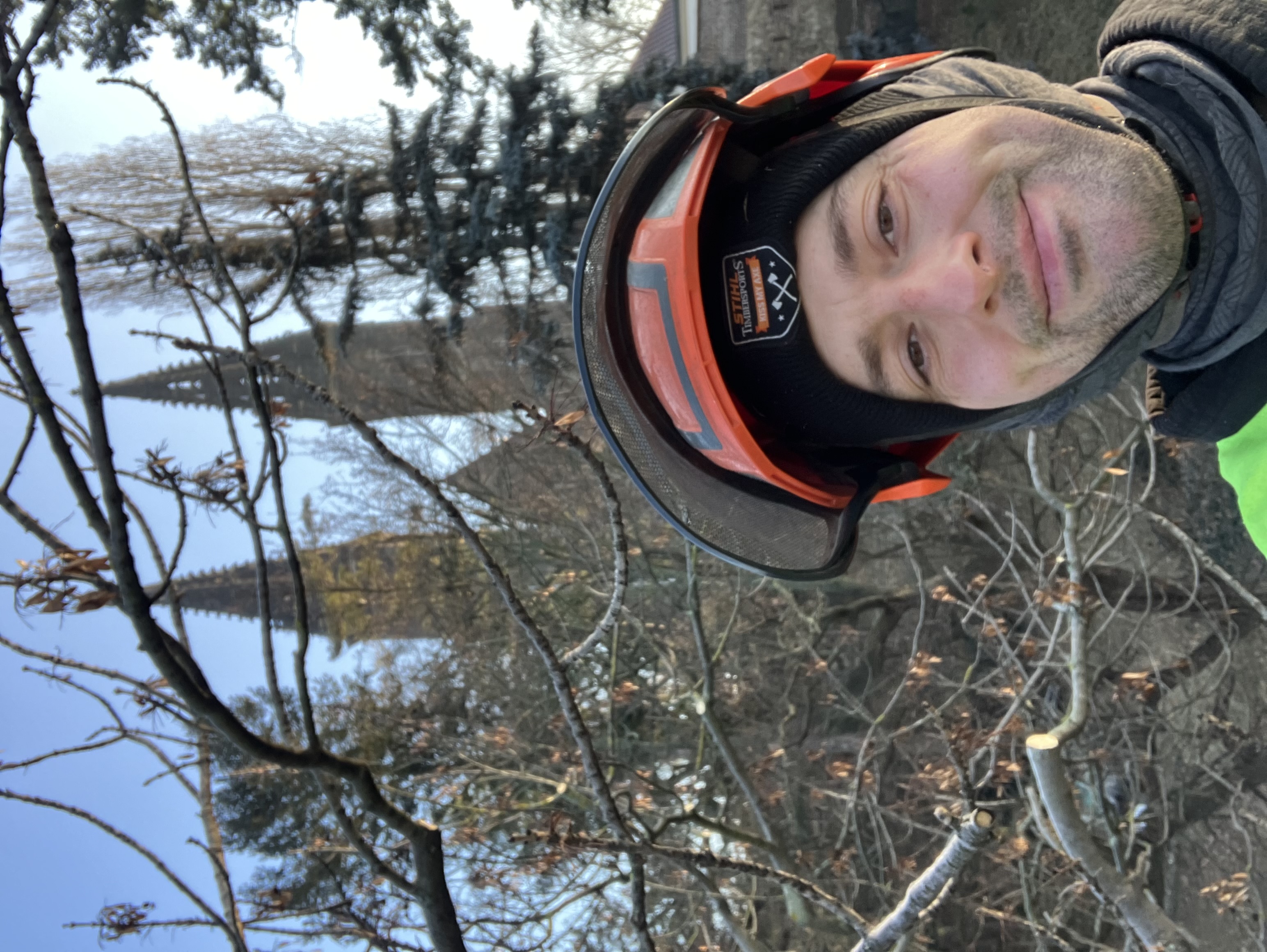 Ošetření jasanů - Praha, Vyšehrad