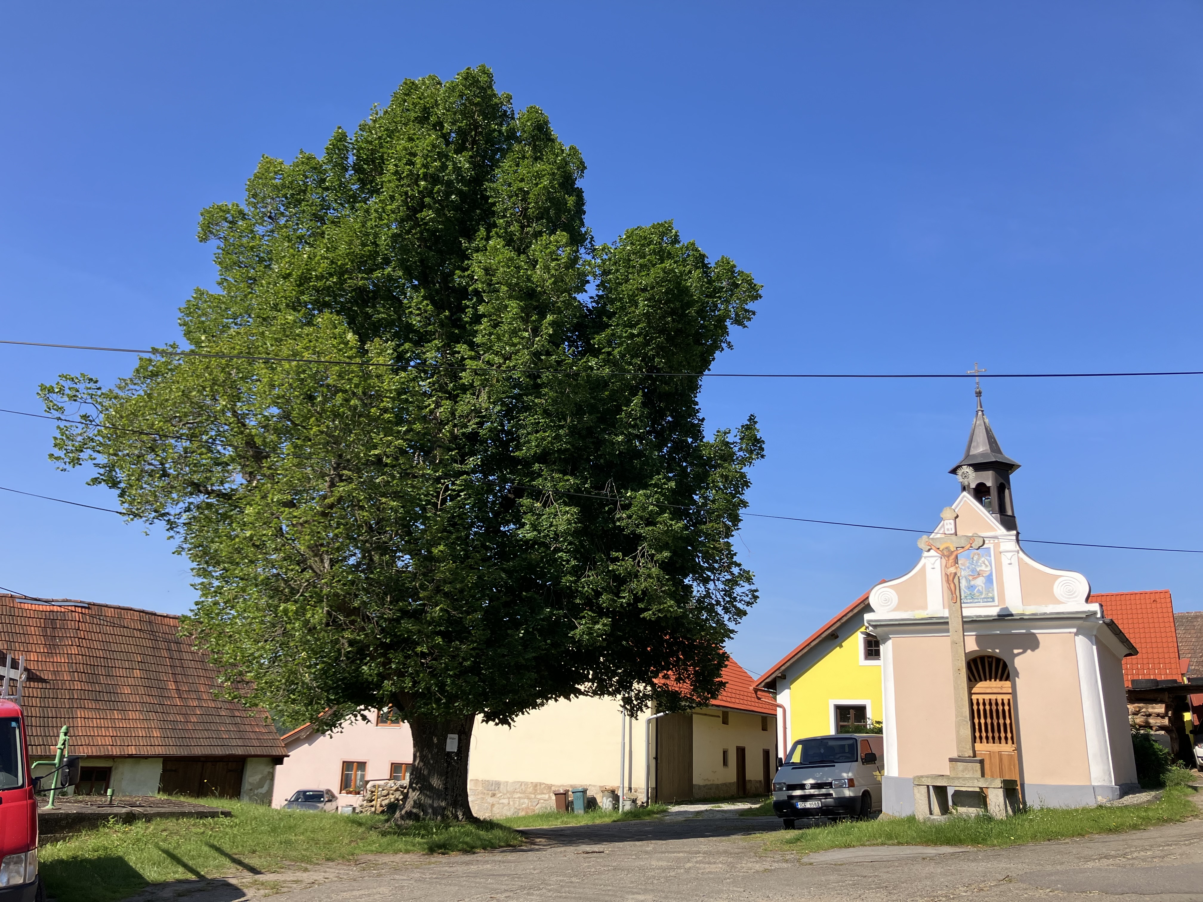 Ošetření lípy - Vacov