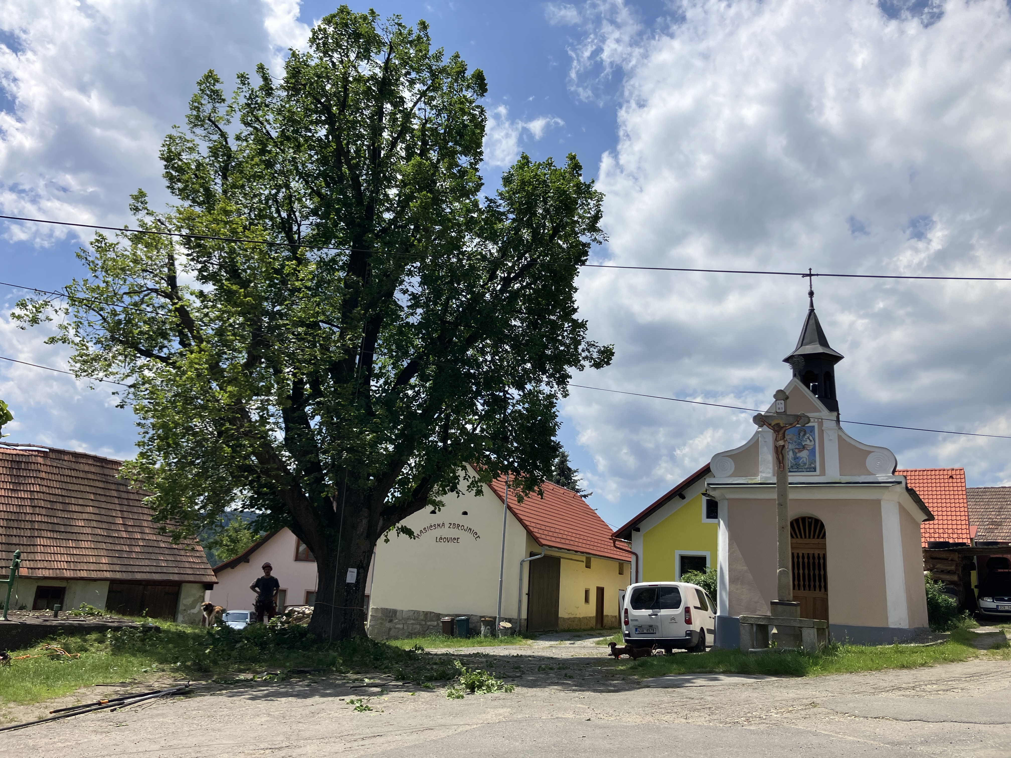 Ošetření lípy - Vacov - foto 2
