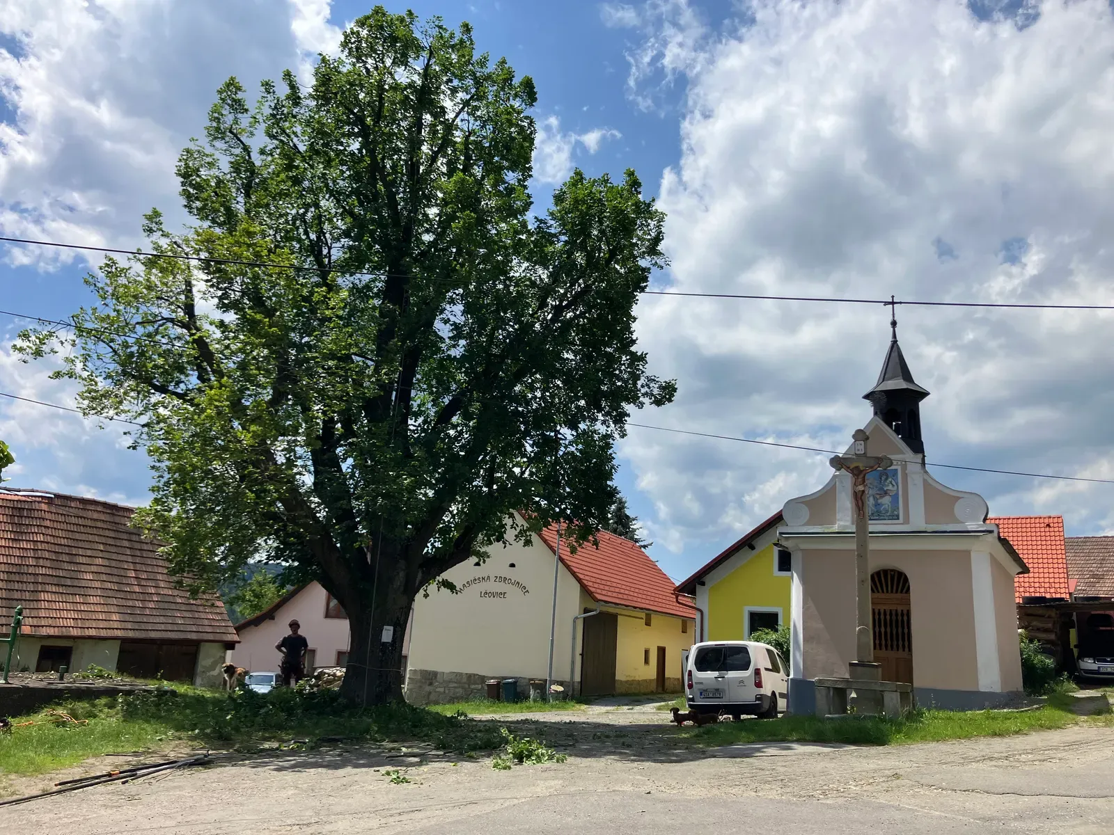 Ošetření lípy - Vacov - foto 2