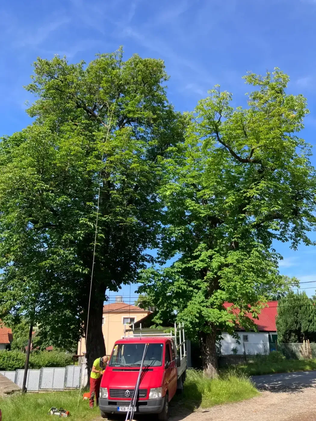 Ošetření památného dubu - Dolany u Kladna