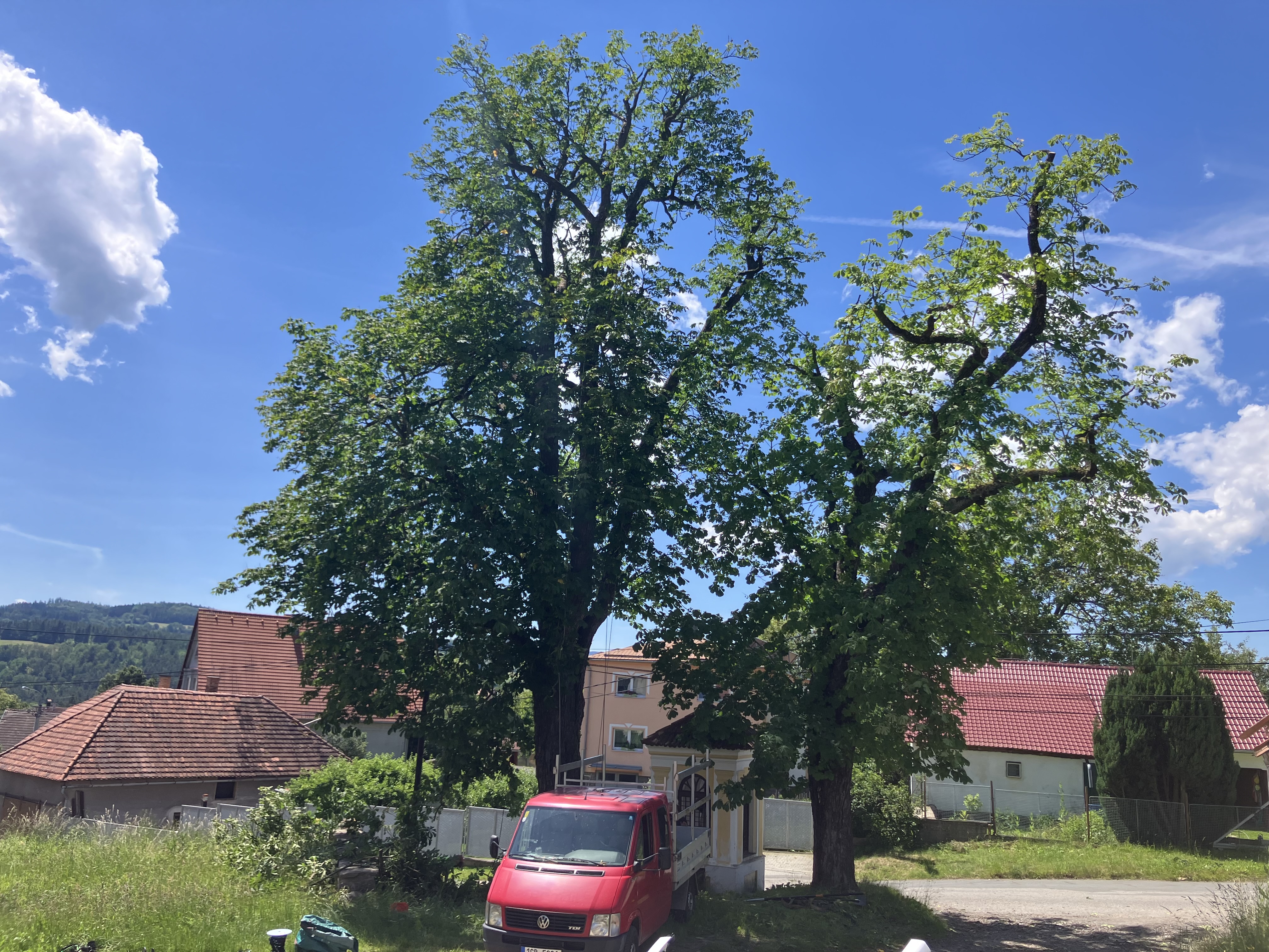 Ošetření památného dubu - Dolany u Kladna - foto 2