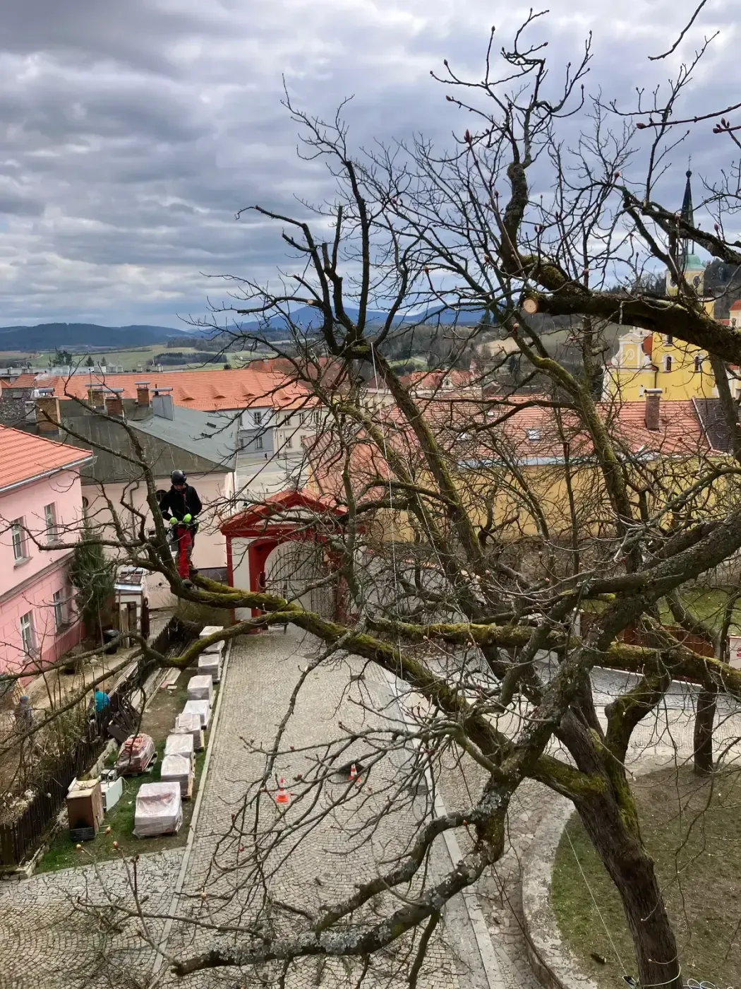 Ošetření lip - Zámek Vlachovo Březí