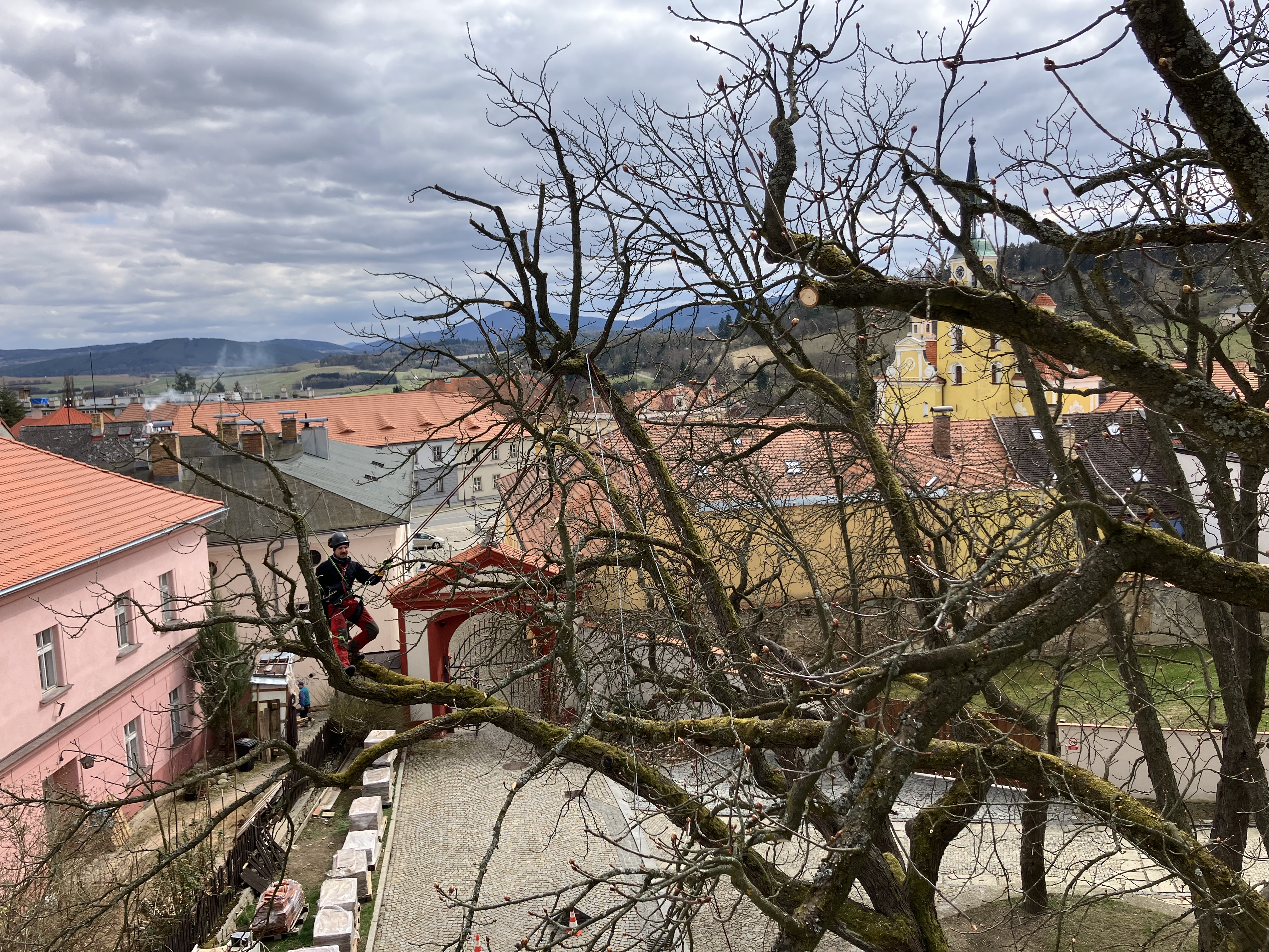 Ošetření lip - Zámek Vlachovo Březí - foto 2