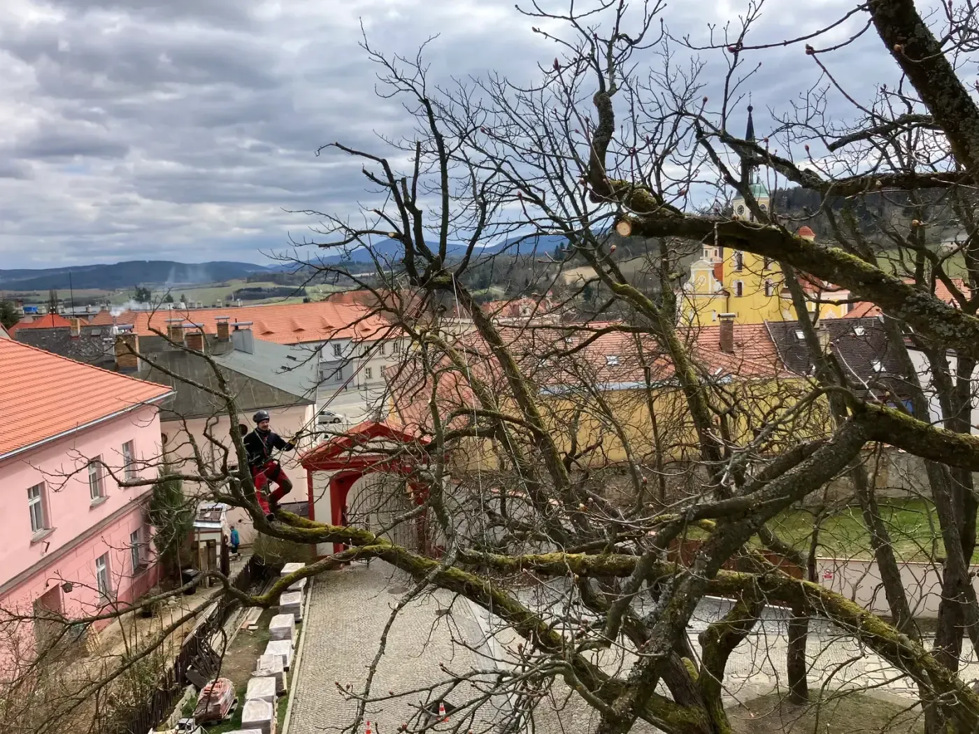 Ošetření lip - Zámek Vlachovo Březí - foto 2