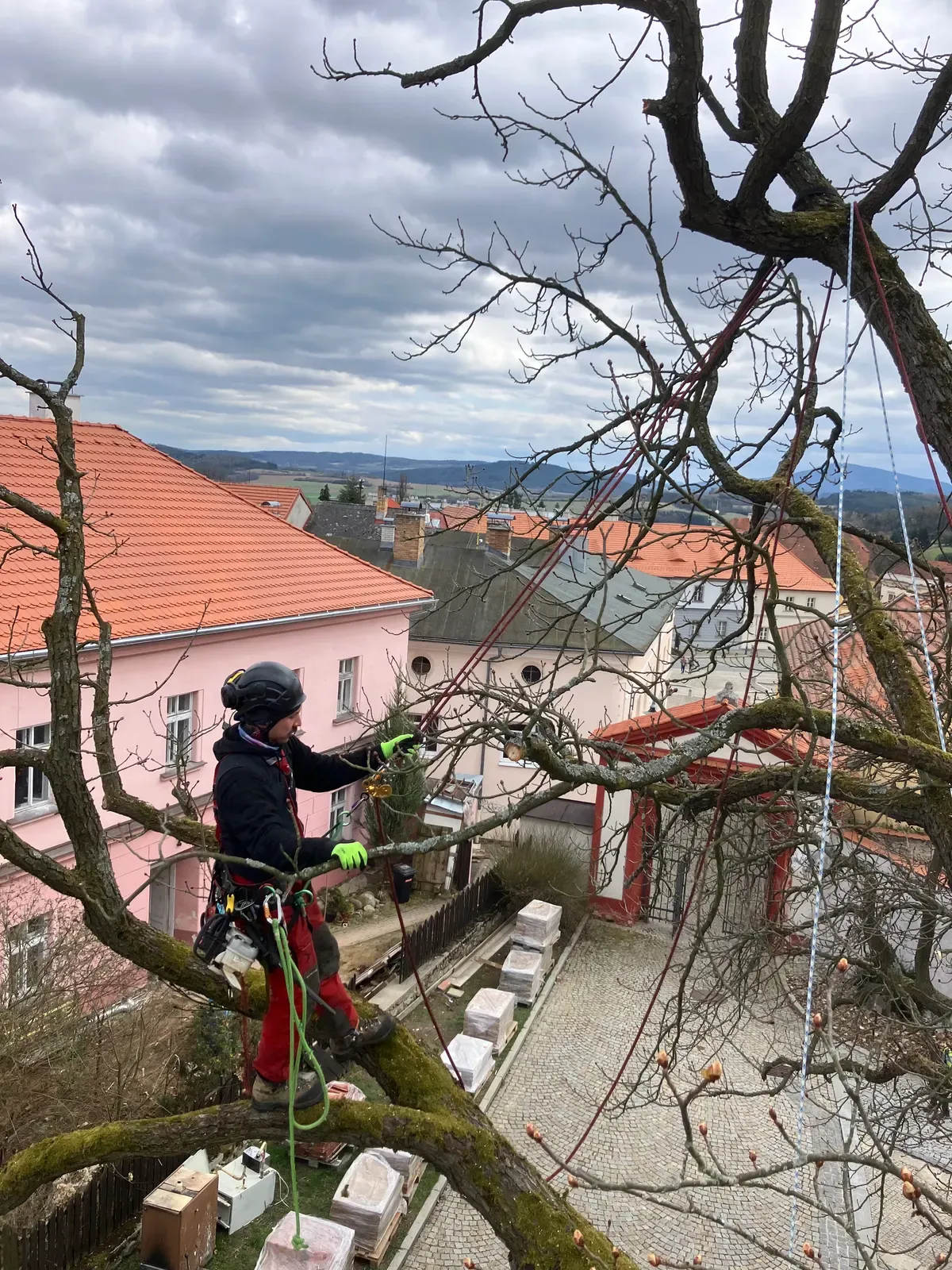 Ošetření lip - Zámek Vlachovo Březí - foto 3