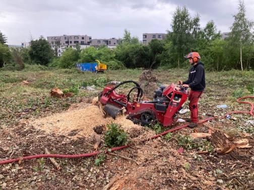 Likvidace dřevní hmoty