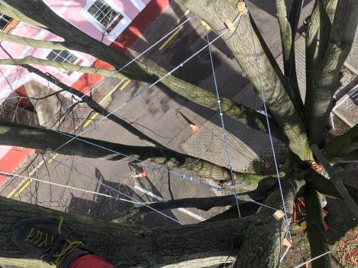 Zajišťování stromů